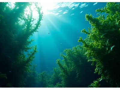 Underwater view of a vibrant kelp forest with fish